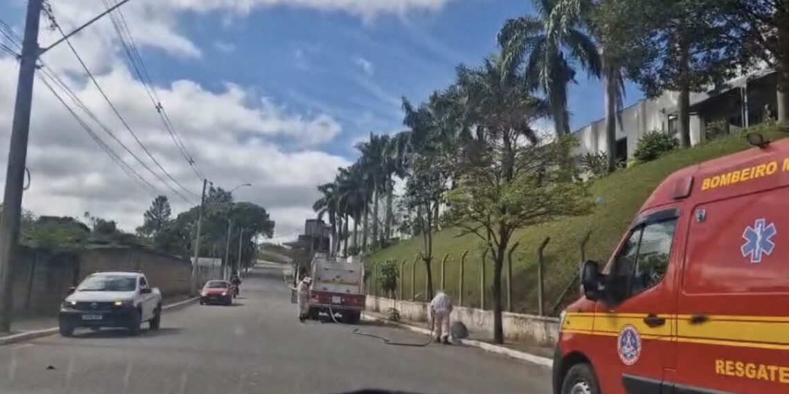 Imagens: ANTV