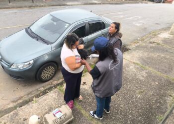 Campanha Antirrábica chega à região urbana de Poços; confira datas