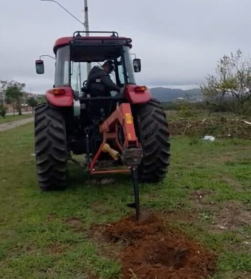 Mais de 100 árvores são plantadas em avenida de Poços