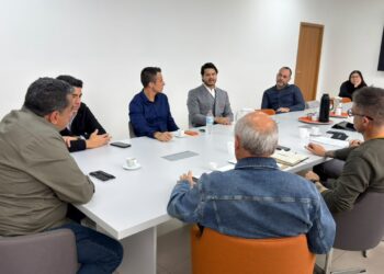 Comitê de Terras Raras discute cadeia produtiva e segurança em Poços de Caldas