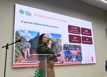Safra de café em Minas Gerais deve alcançar 33,4 milhões de sacas em 2026