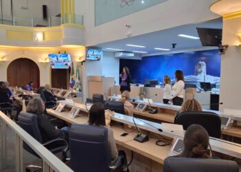 Parlamento Mulher promove oficinas sobre autocuidado, saúde mental e maternagem