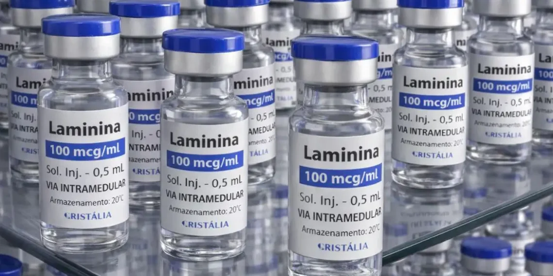 Polilaminina começa a ser testada em humanos para lesões na medula