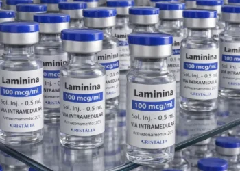 Polilaminina começa a ser testada em humanos para lesões na medula