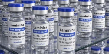 Polilaminina começa a ser testada em humanos para lesões na medula