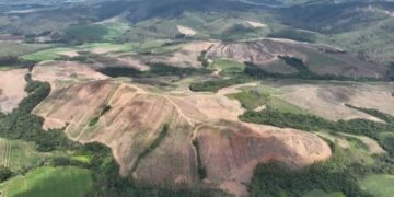 Lynas anuncia compra da Meteoric e assume projeto de terras raras em Caldas