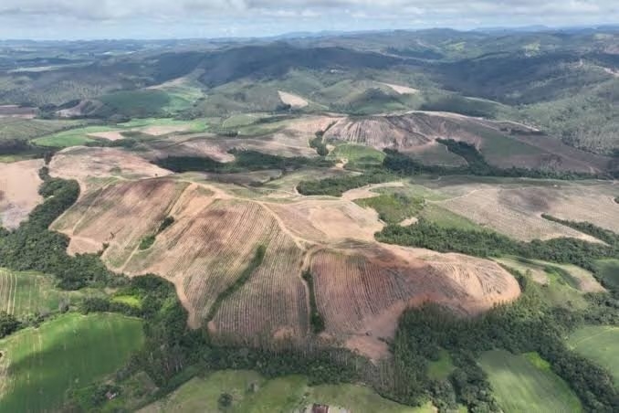 Lynas anuncia compra da Meteoric e assume projeto de terras raras em Caldas