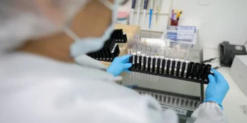 Anvisa autoriza testes em humanos da primeira vacina contra malária