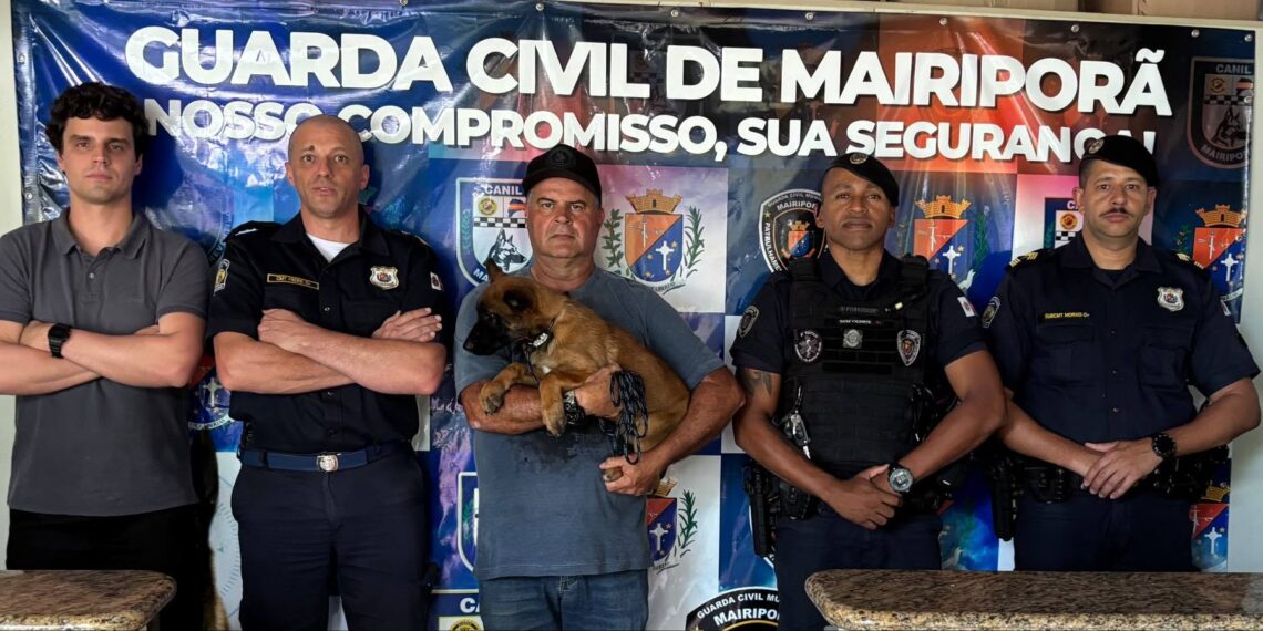 GCM de Poços ganha filhote que será treinado para operações