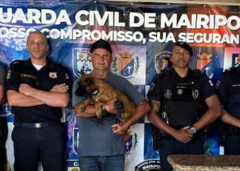GCM de Poços ganha filhote que será treinado para operações