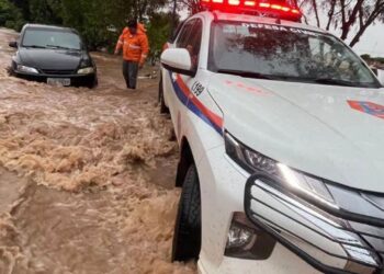 Chuva intensa provoca alagamentos, derruba árvores e causa estragos em Casa Branca