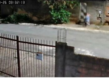 Caso de idosa espancada pelo filho é concluído pela Polícia Civil