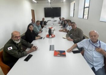 Terras raras: comitê discute licenciamento ambiental com Governo de Minas