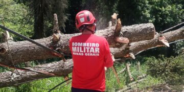 Bombeiros divulgam balanço de ocorrências provocadas pelas chuvas no Sul de Minas