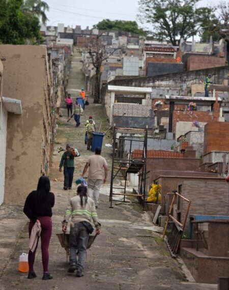 Preparação para Finados inclui limpeza, poda de árvores e mudanças no trânsito em Poços